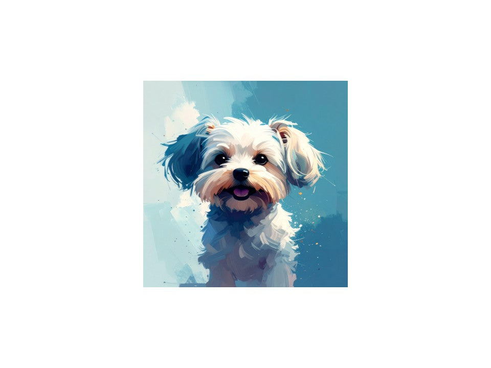 White Frost Yorkie