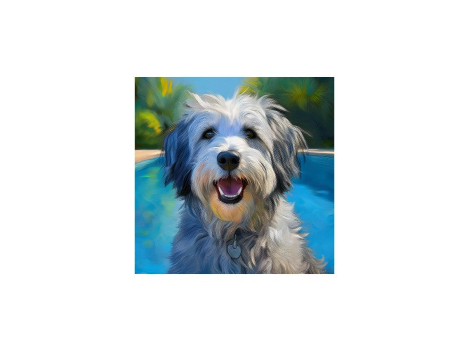 Grey Shaggy Dog Poolside
