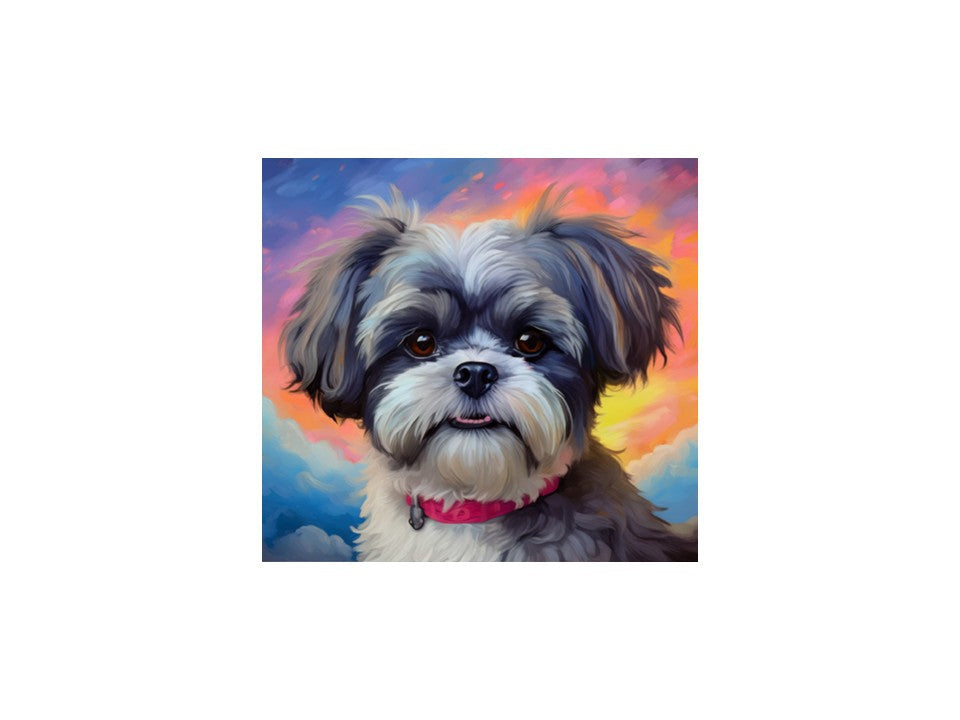 Shih Tzu