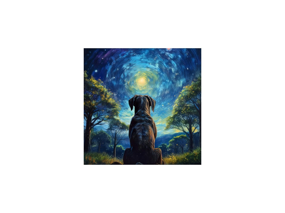 Moonlit Thoughts