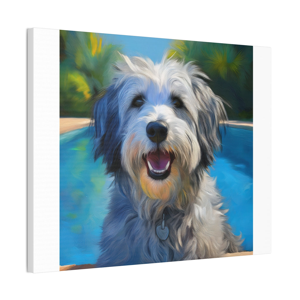 Grey Shaggy Dog Poolside Canvas Stretched, 0.75"