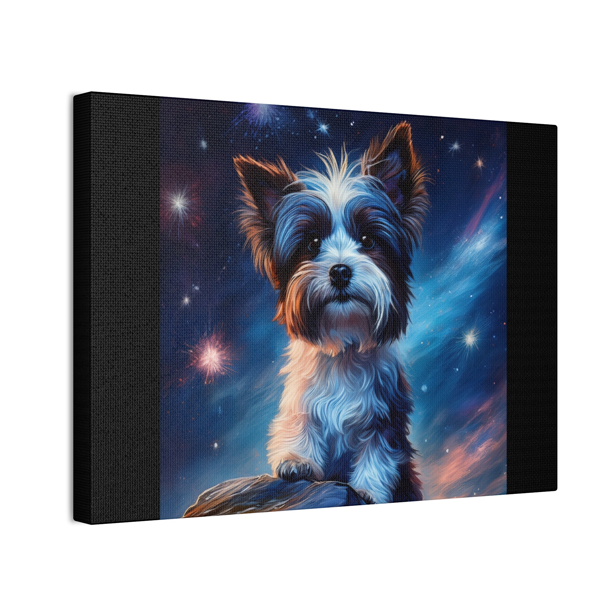 Biewer Terrier Stary Night Cavas Painting