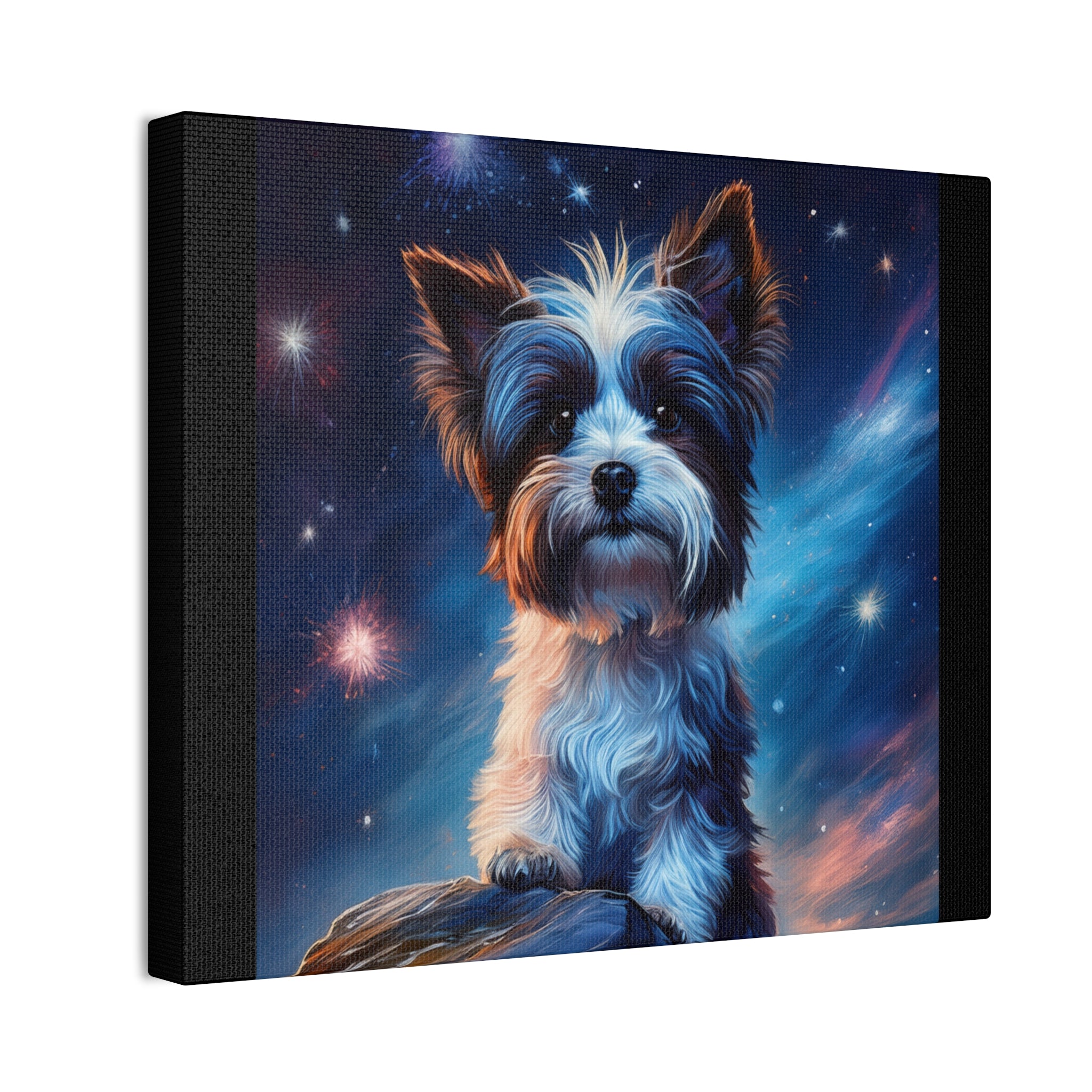 Biewer Terrier Stary Night Cavas Painting