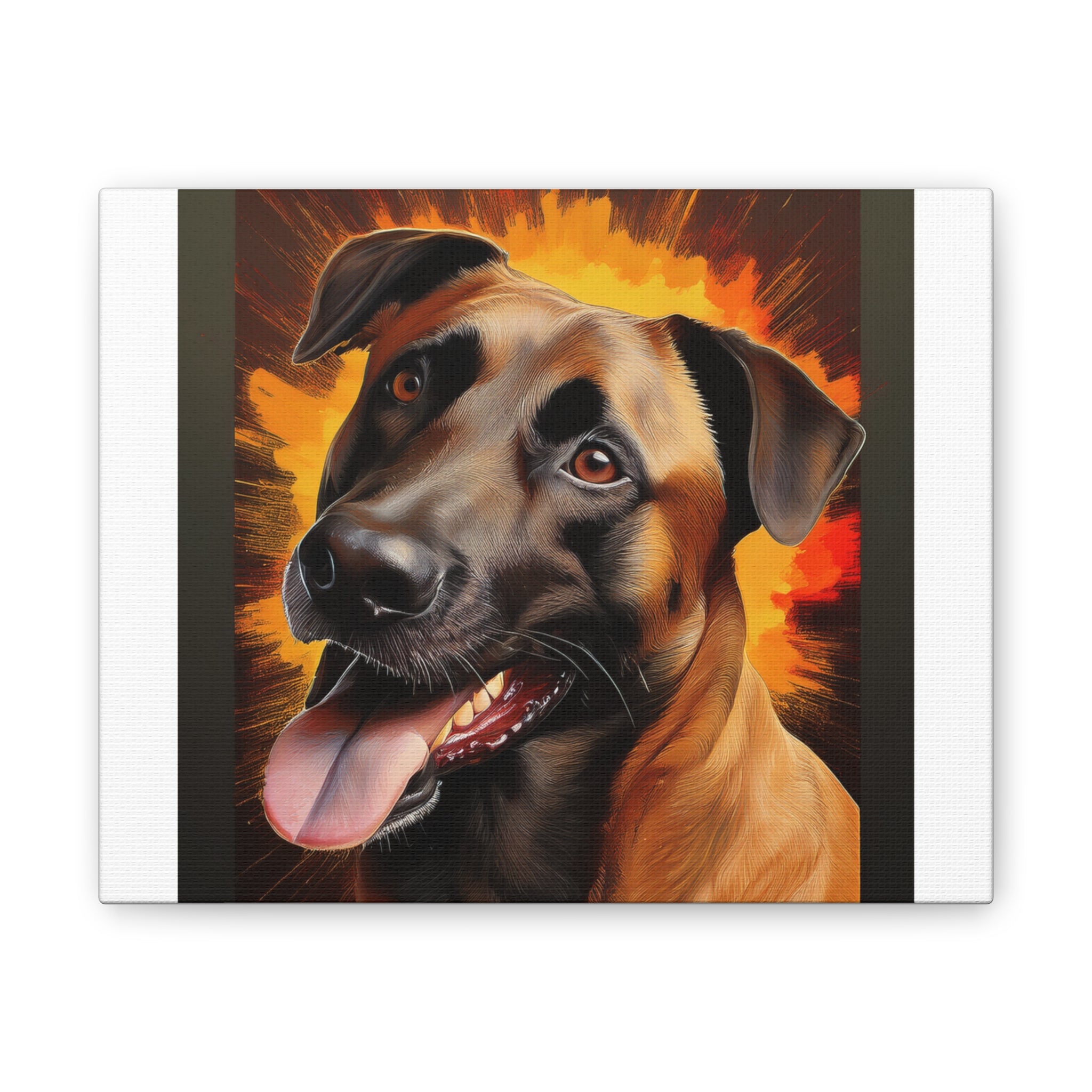 Belgian Malinois Shepherd Canvas Stretched, 0.75"