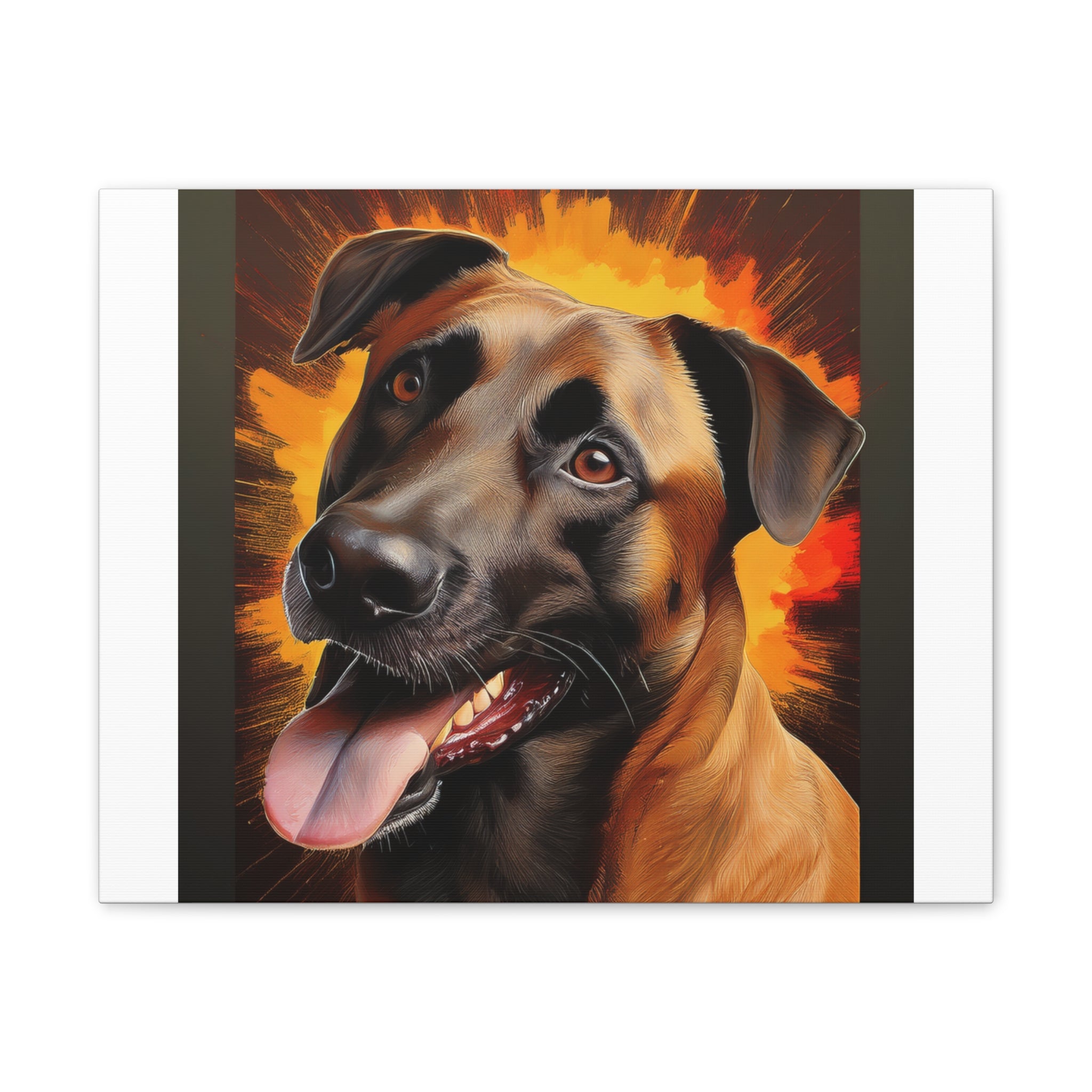 Belgian Malinois Shepherd Canvas Stretched, 0.75"