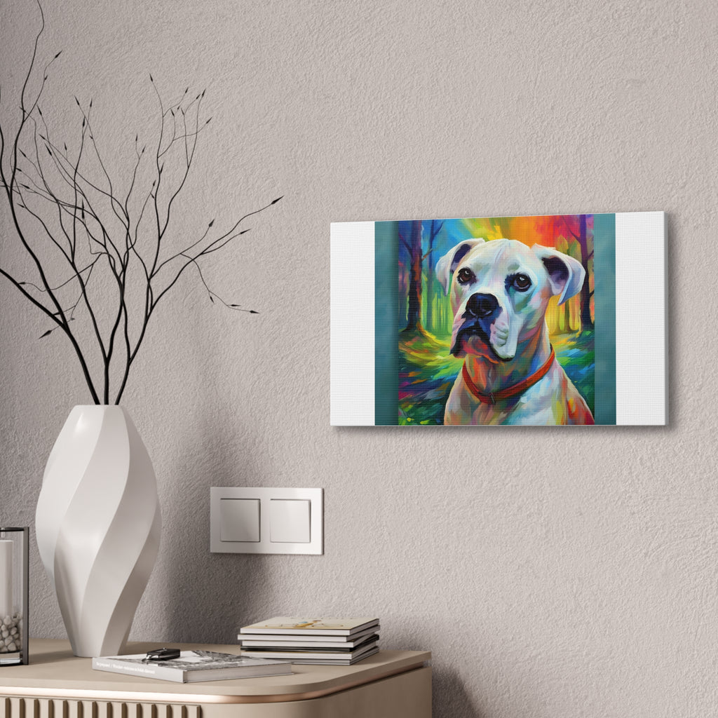 Boxer Rainbow Sky