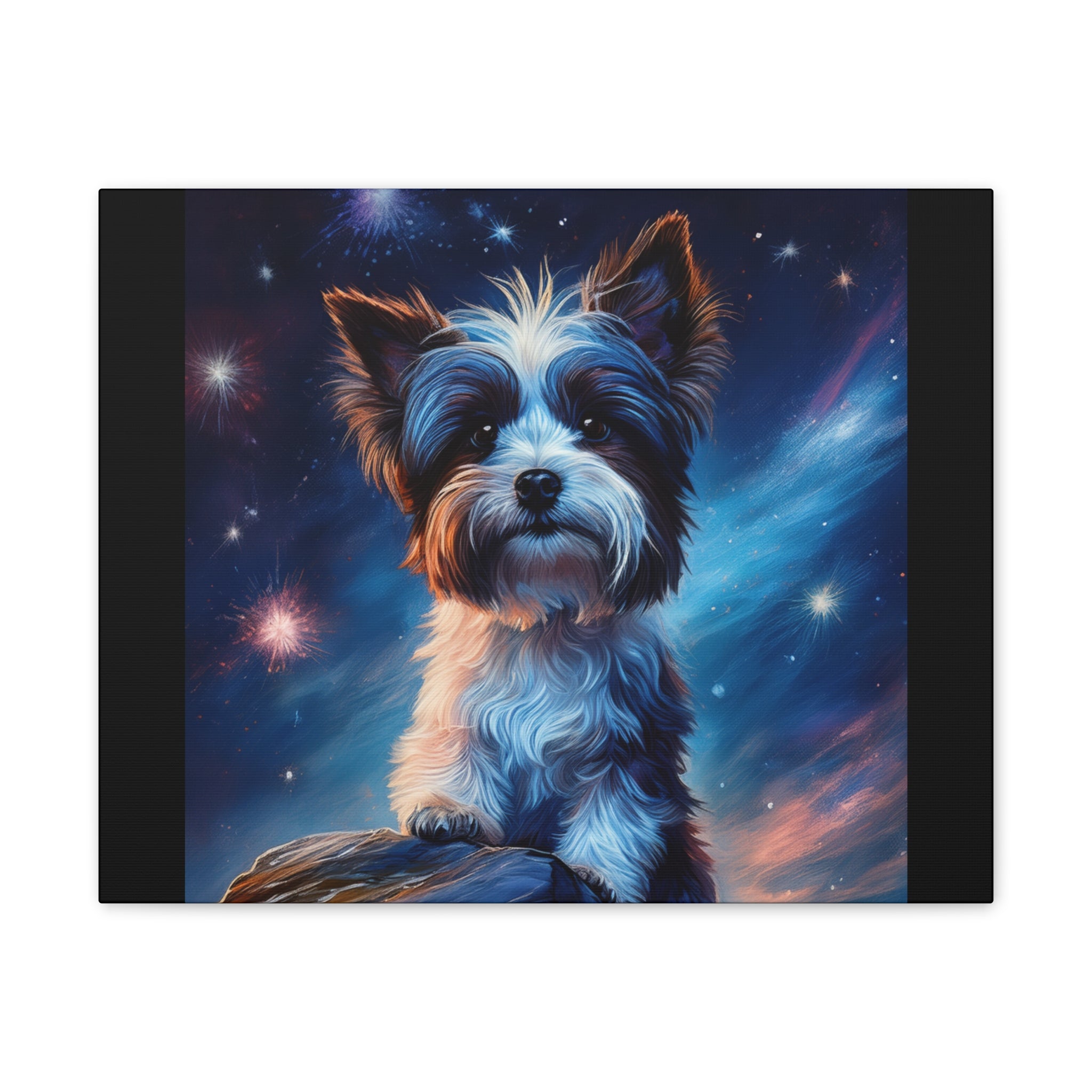 Biewer Terrier Stary Night Cavas Painting