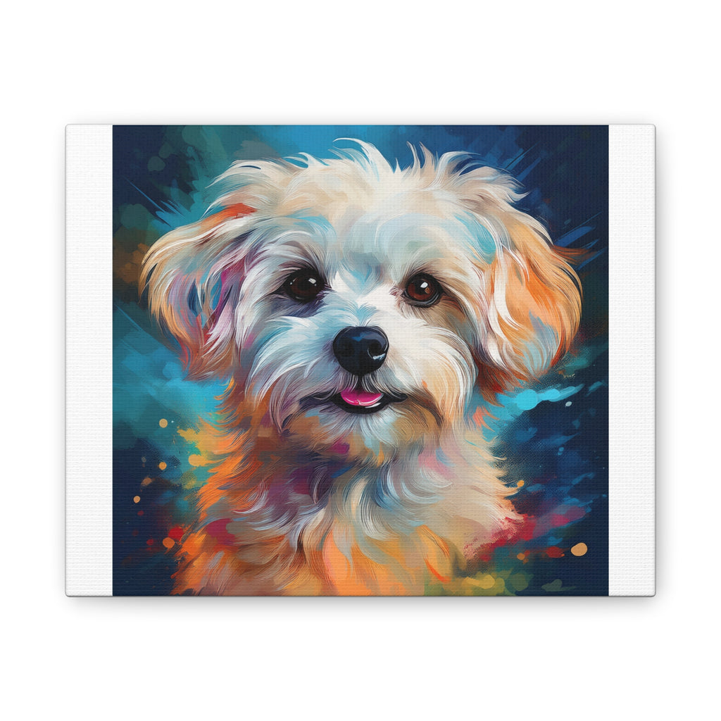 Maltese Stretched, 0.75"