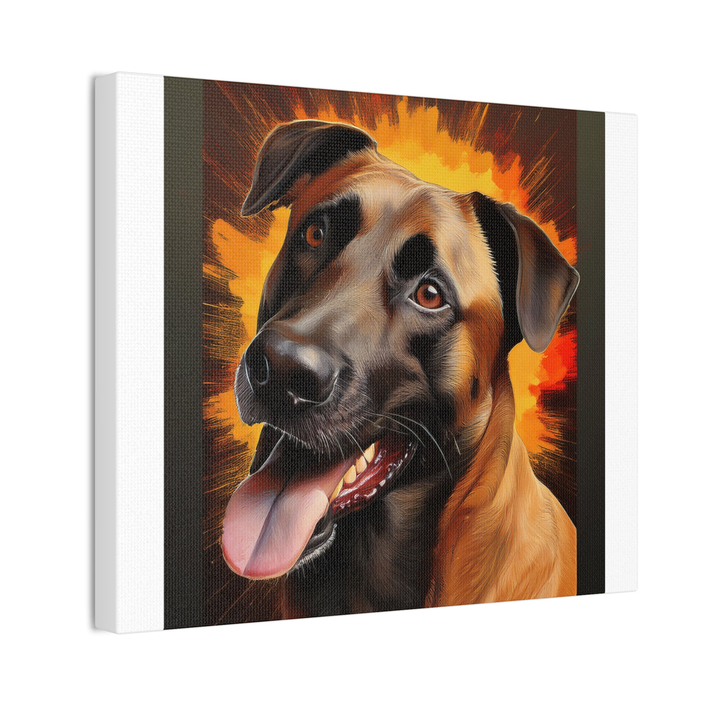 Belgian Malinois Shepherd Canvas Stretched, 0.75"