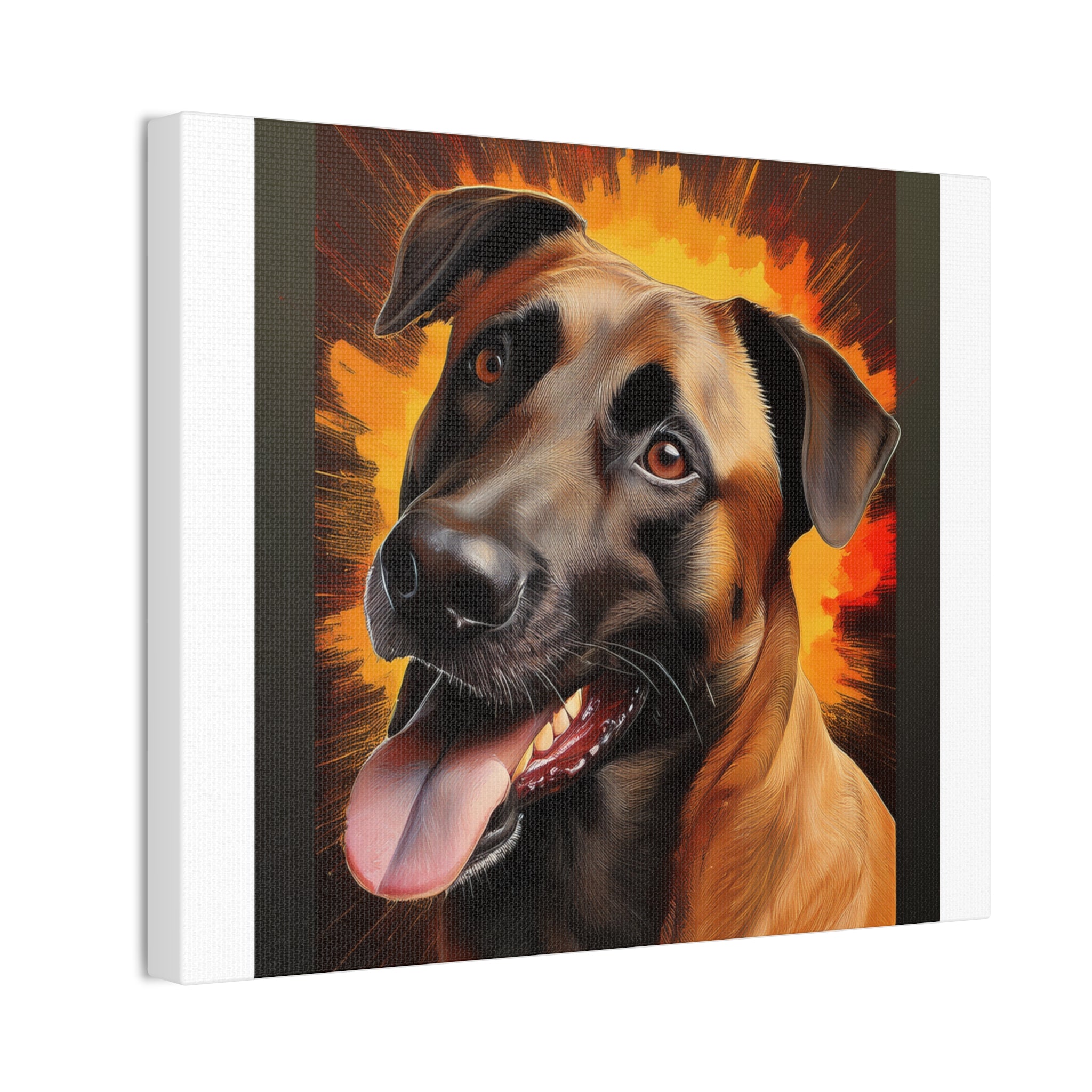Belgian Malinois Shepherd Canvas Stretched, 0.75"