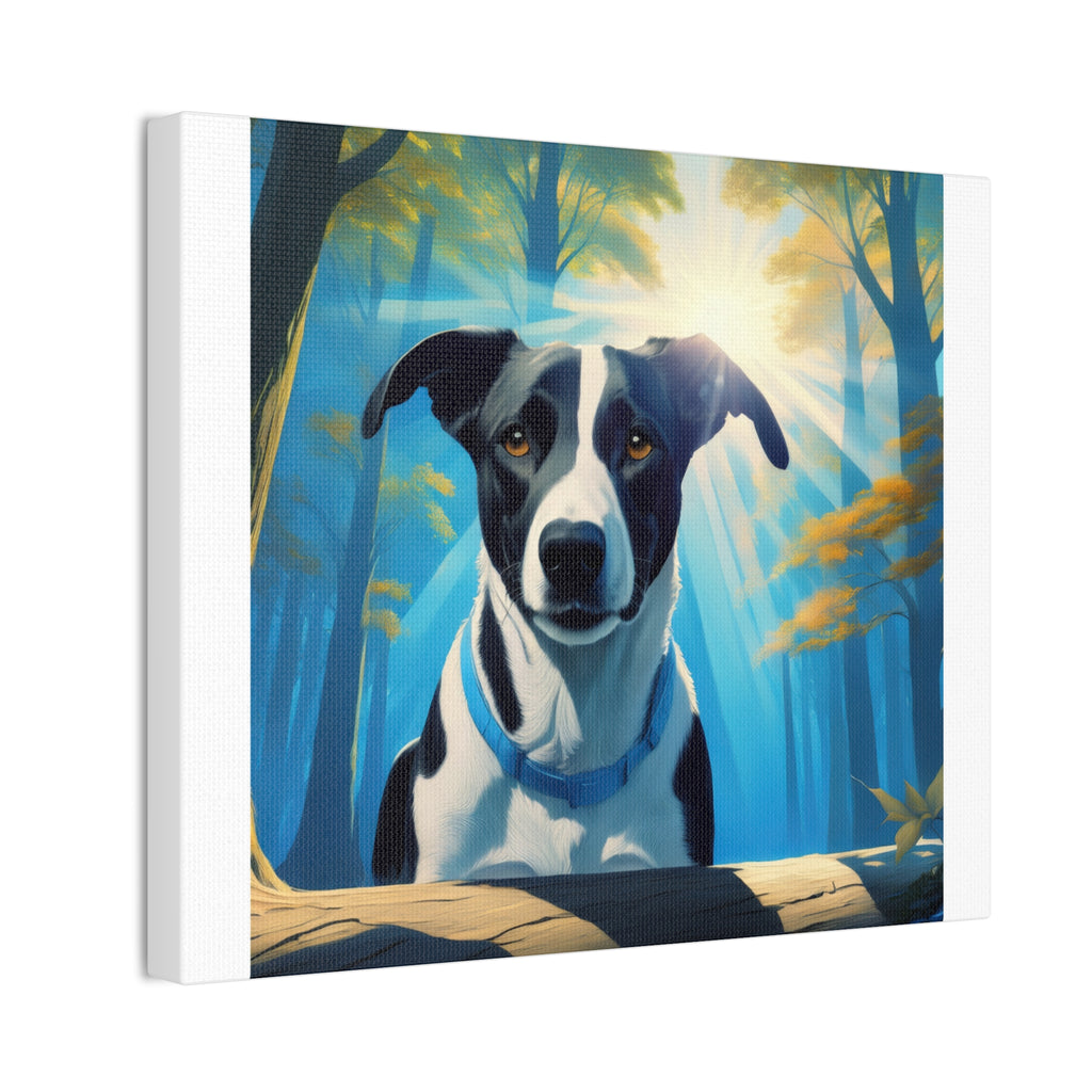 Coonhound Forest Stretched, 0.75"