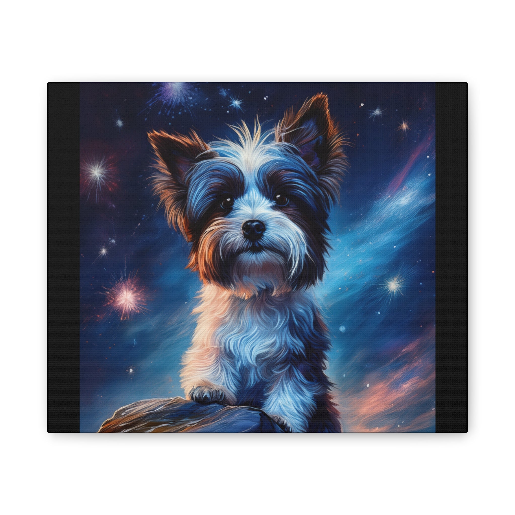 Biewer Terrier Stary Night Cavas Painting