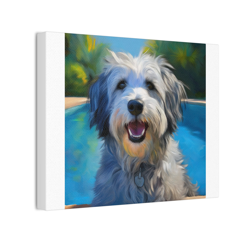 Grey Shaggy Dog Poolside Canvas Stretched, 0.75"