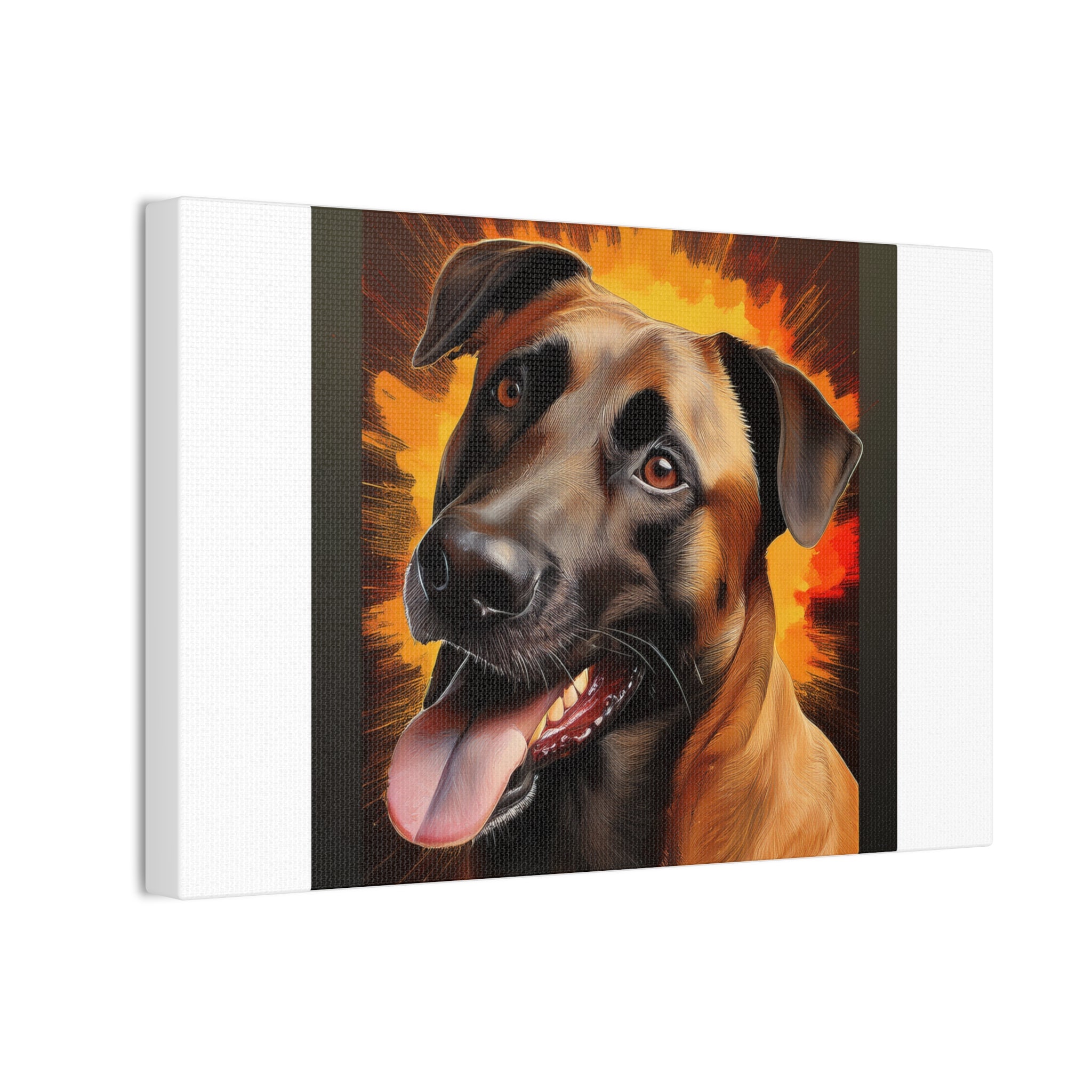 Belgian Malinois Shepherd Canvas Stretched, 0.75"