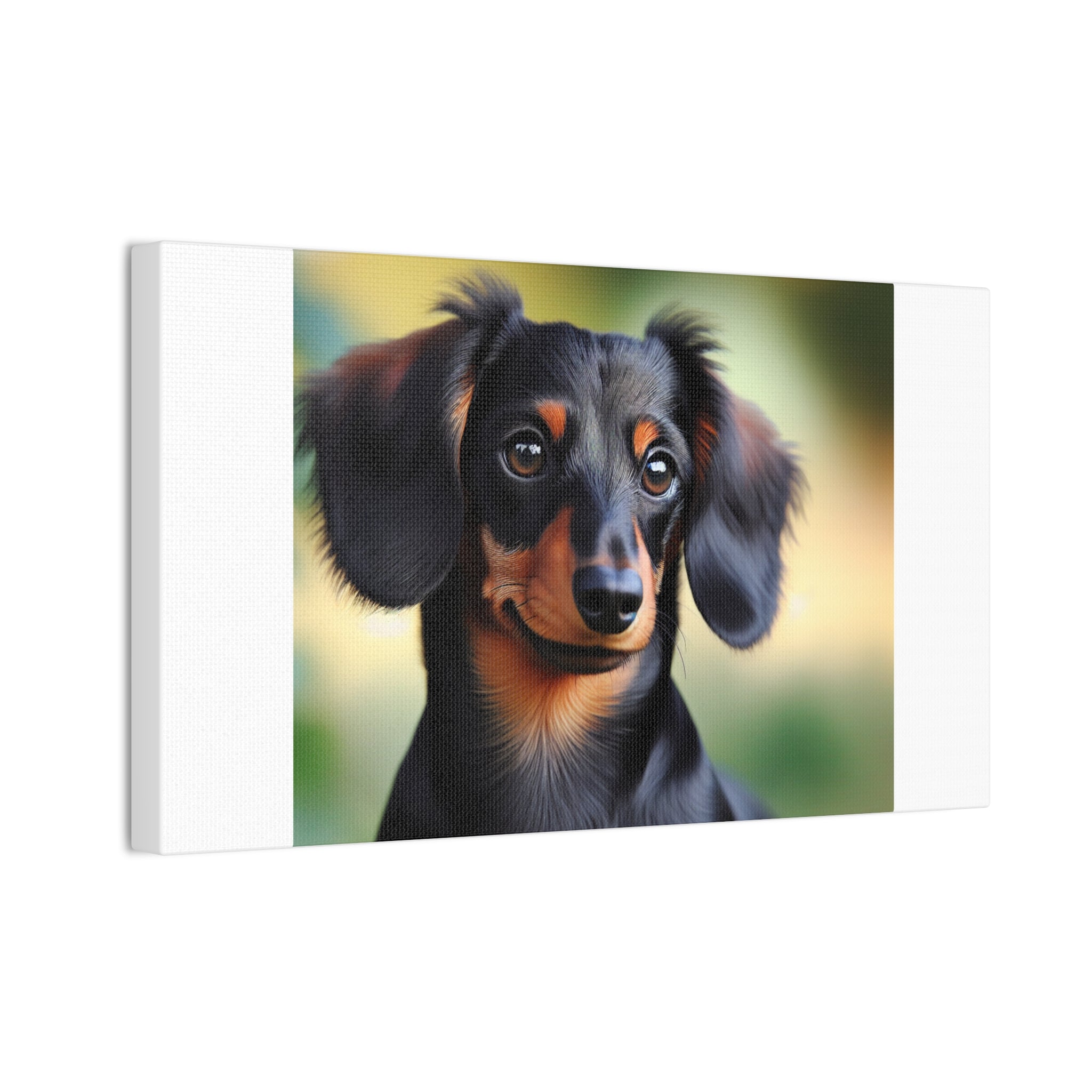 Black/Brown Dachshund Canvas Stretched, 0.75"