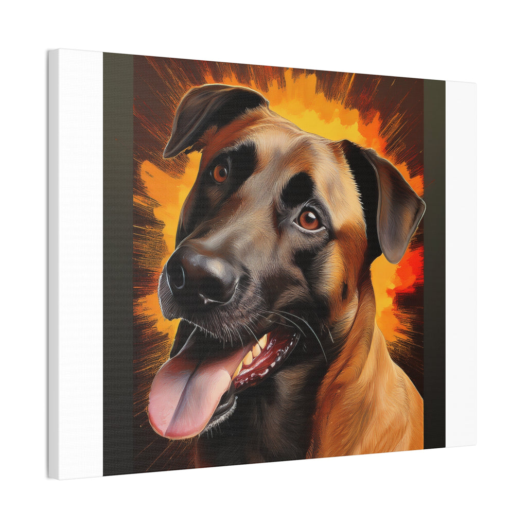 Belgian Malinois Shepherd Canvas Stretched, 0.75"