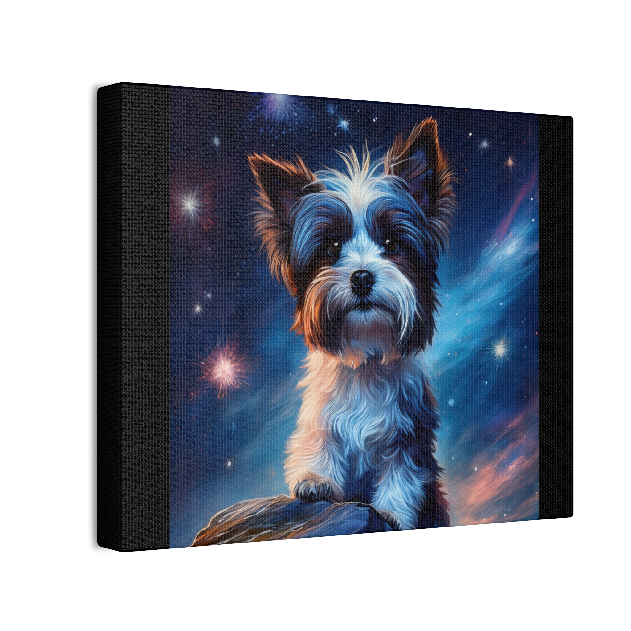 Biewer Terrier Stary Night Cavas Painting