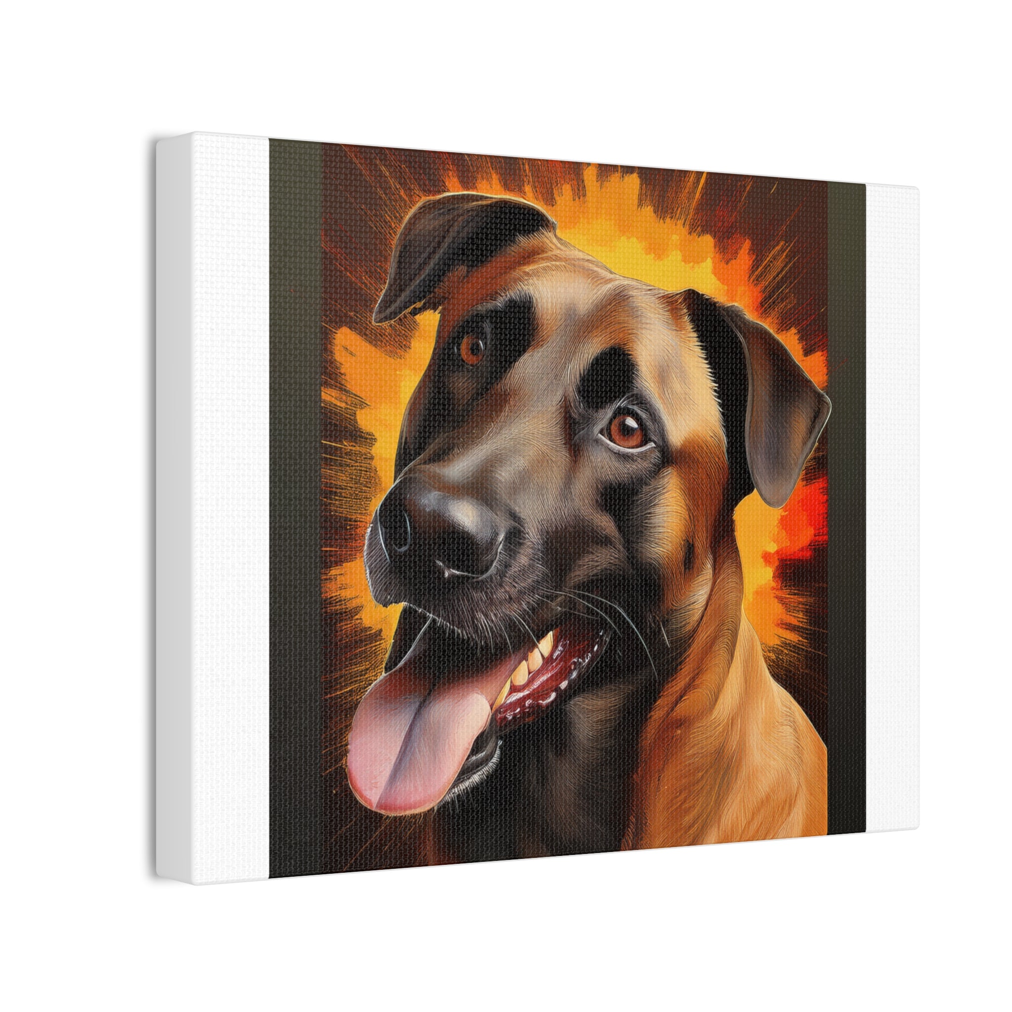 Belgian Malinois Shepherd Canvas Stretched, 0.75"