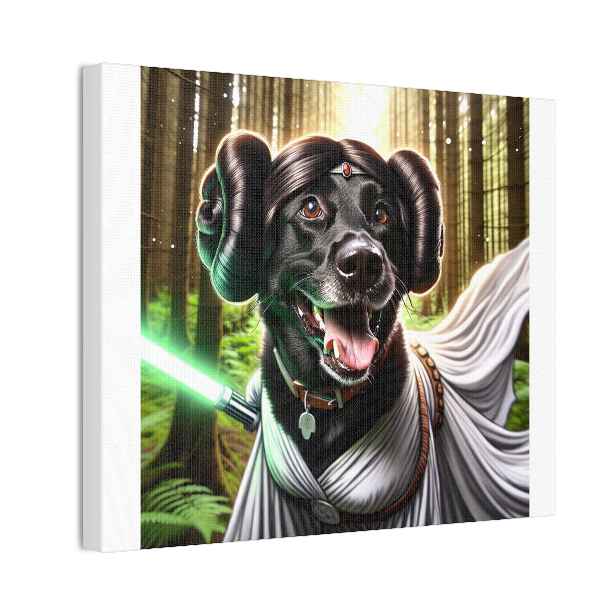 Black Lab Galaxy Princess Canvas Stretched, 0.75"