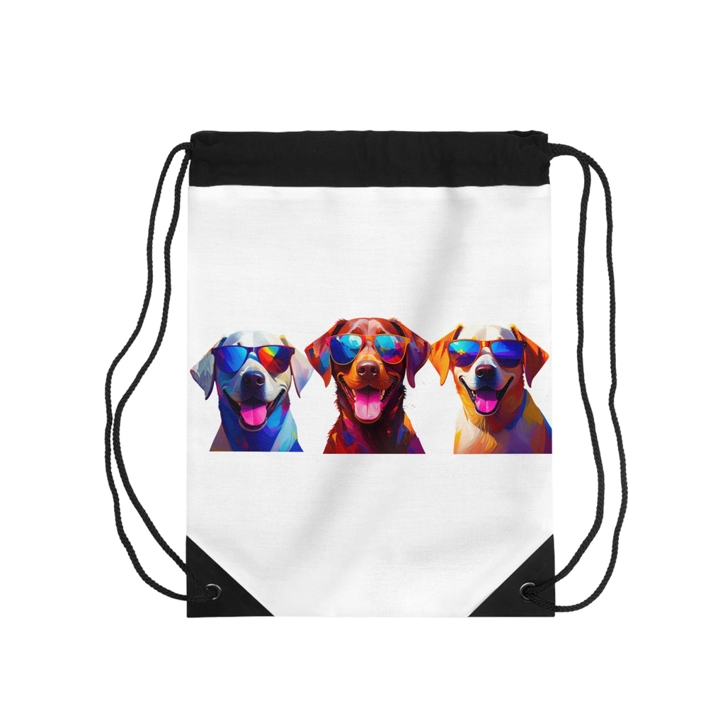 3 Labs Sunglasses Drawstring Bag