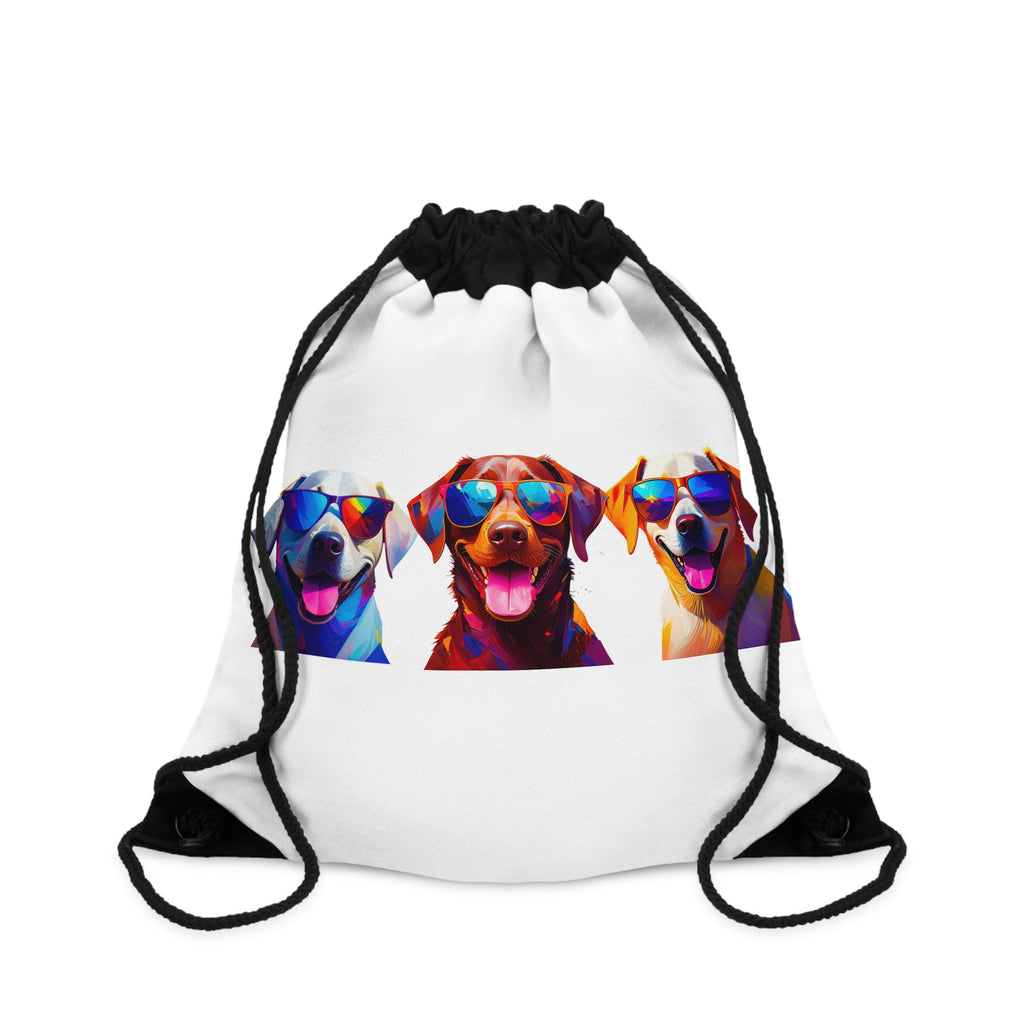 3 Labs Sunglasses Drawstring Bag
