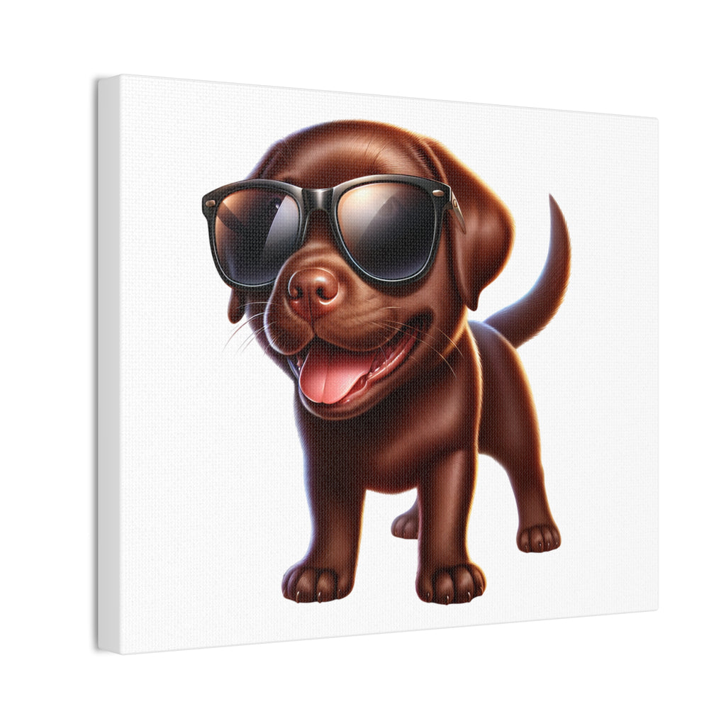 Chocolate Lab in Sunglasses Canvas Stretched, 0.75"