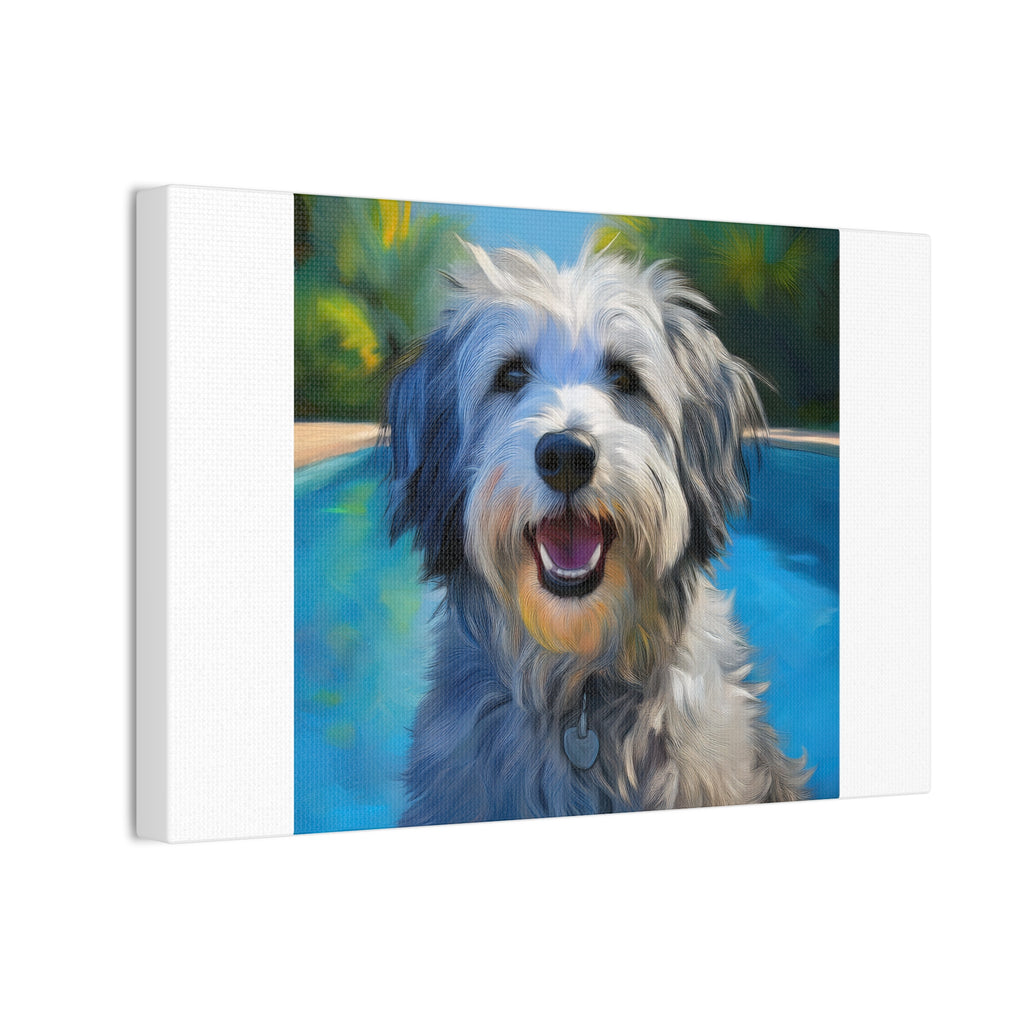 Grey Shaggy Dog Poolside Canvas Stretched, 0.75"
