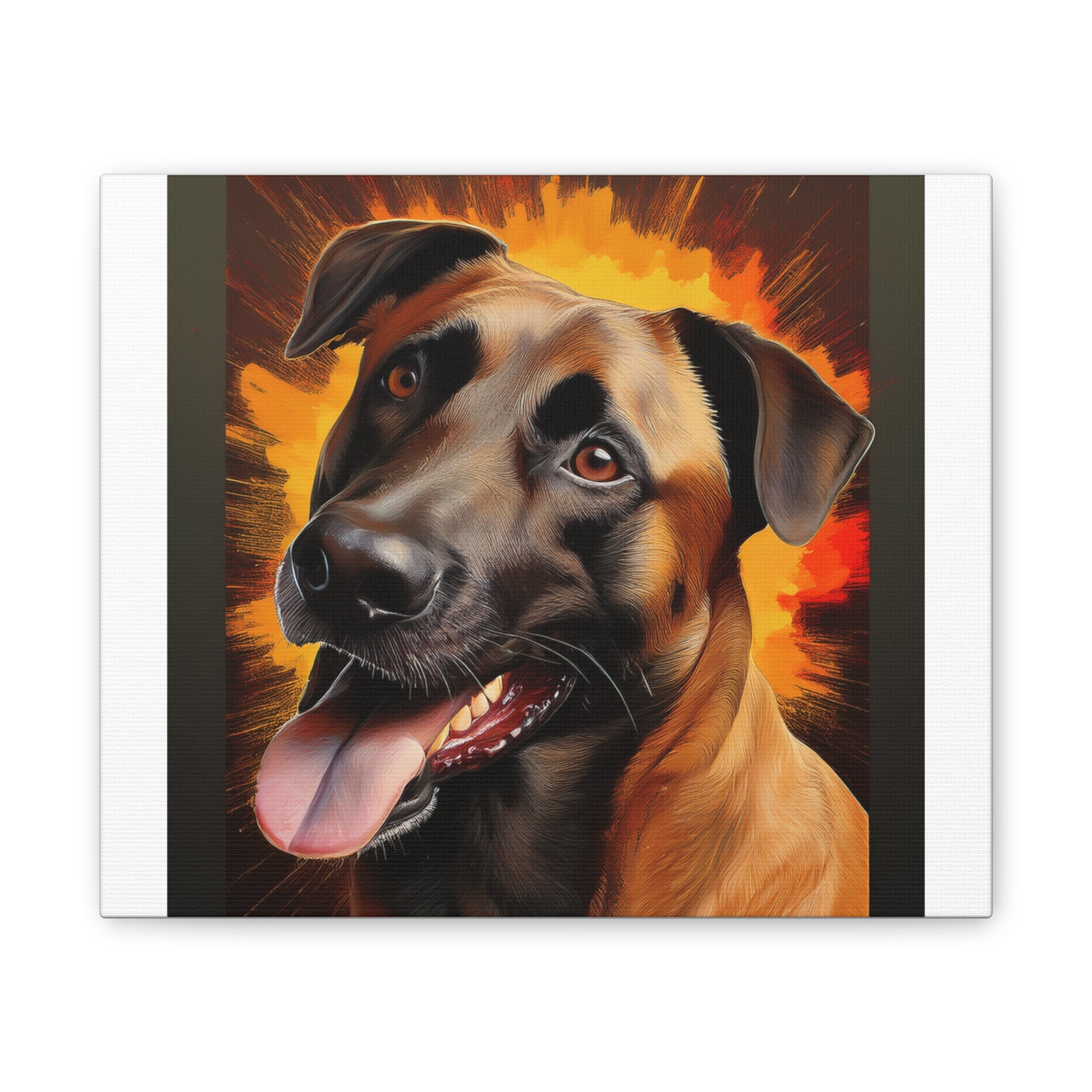 Belgian Malinois Shepherd Canvas Stretched, 0.75"
