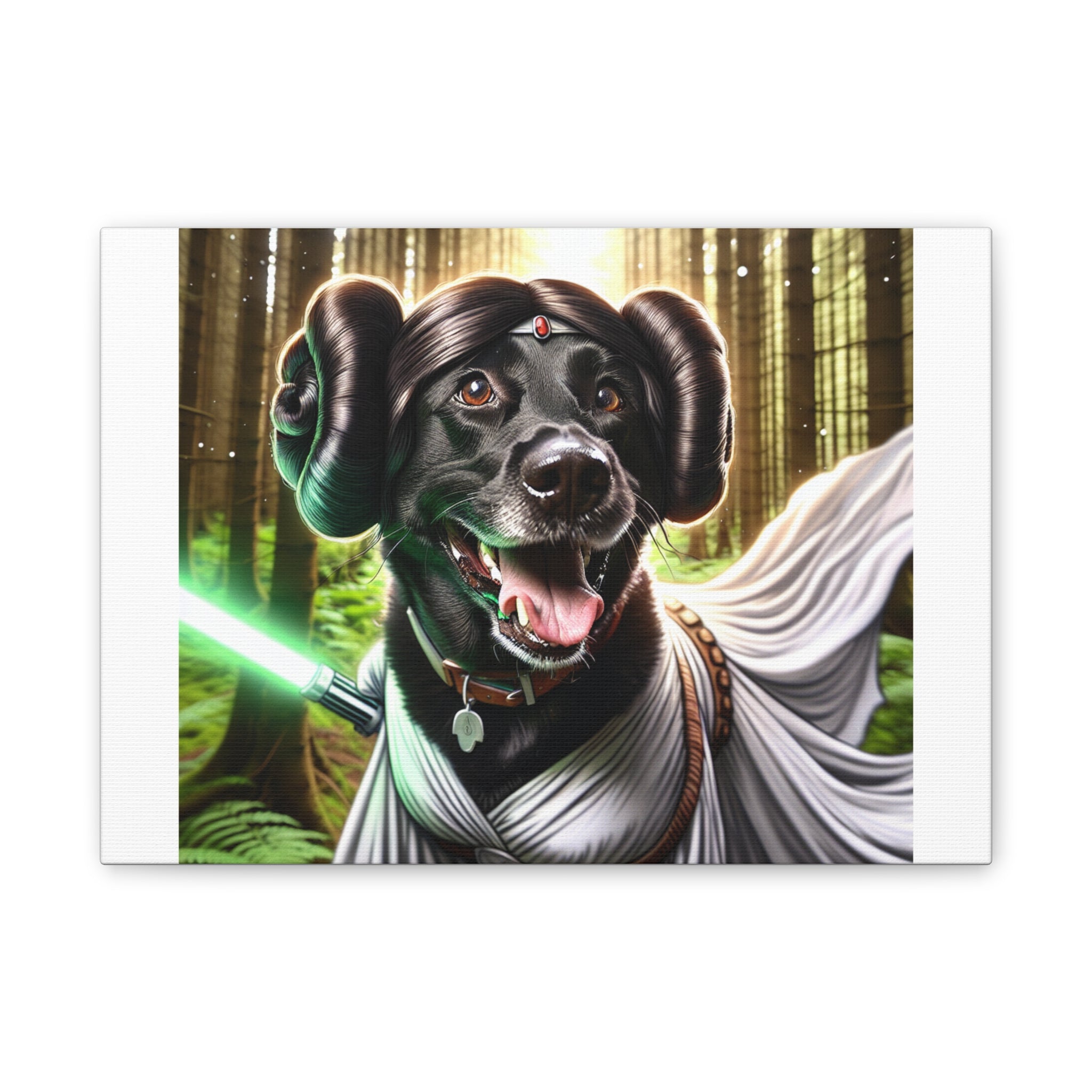 Black Lab Galaxy Princess Canvas Stretched, 0.75"