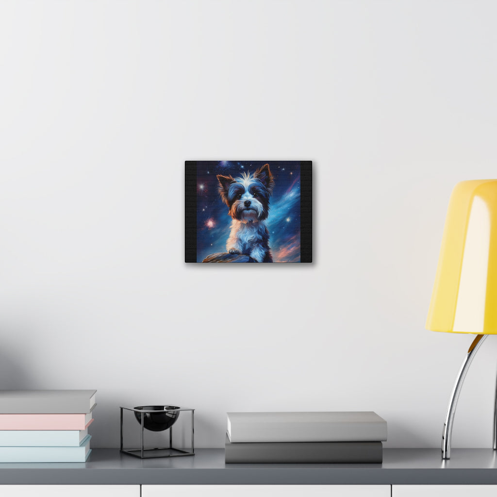 Biewer Terrier Stary Night Cavas Painting