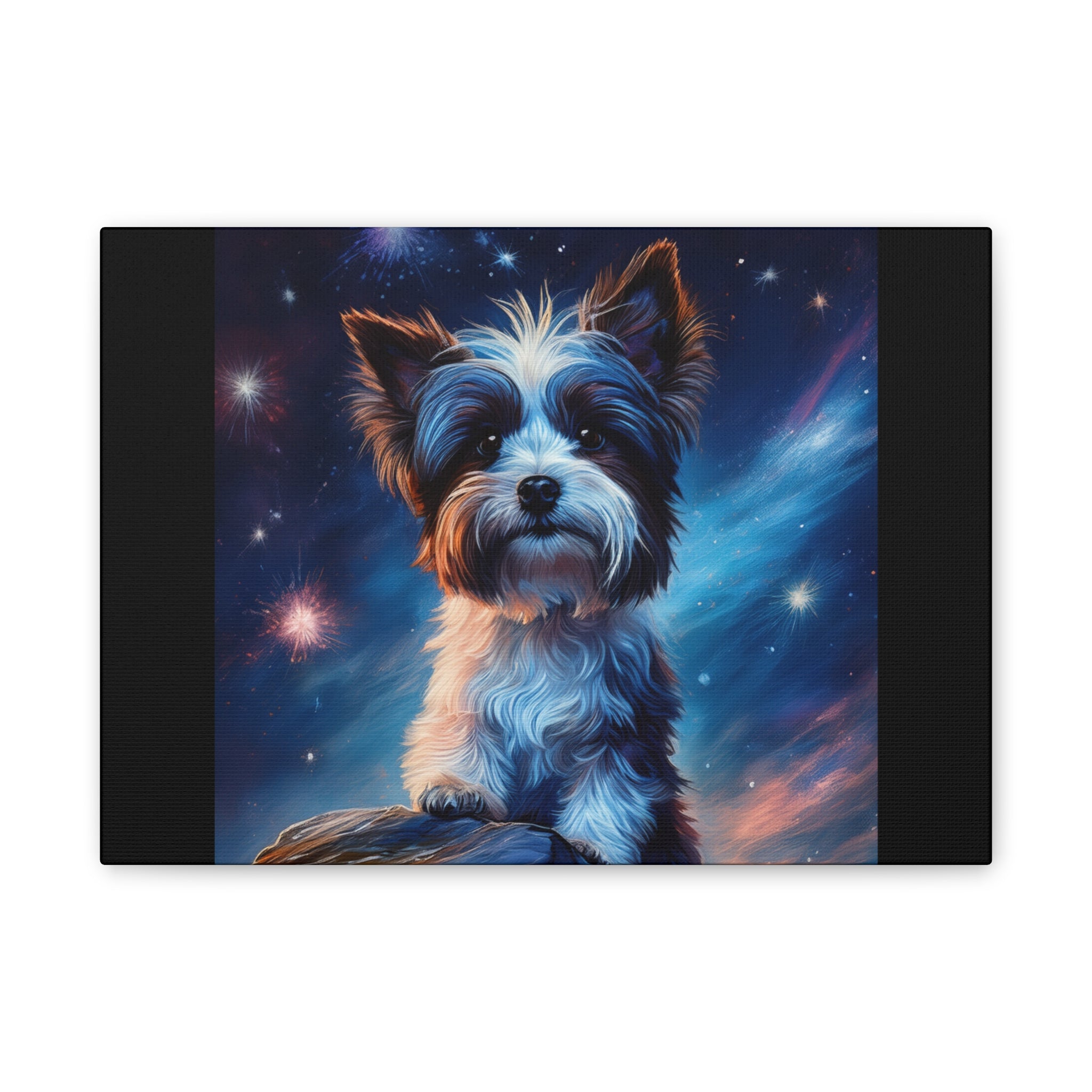 Biewer Terrier Stary Night Cavas Painting