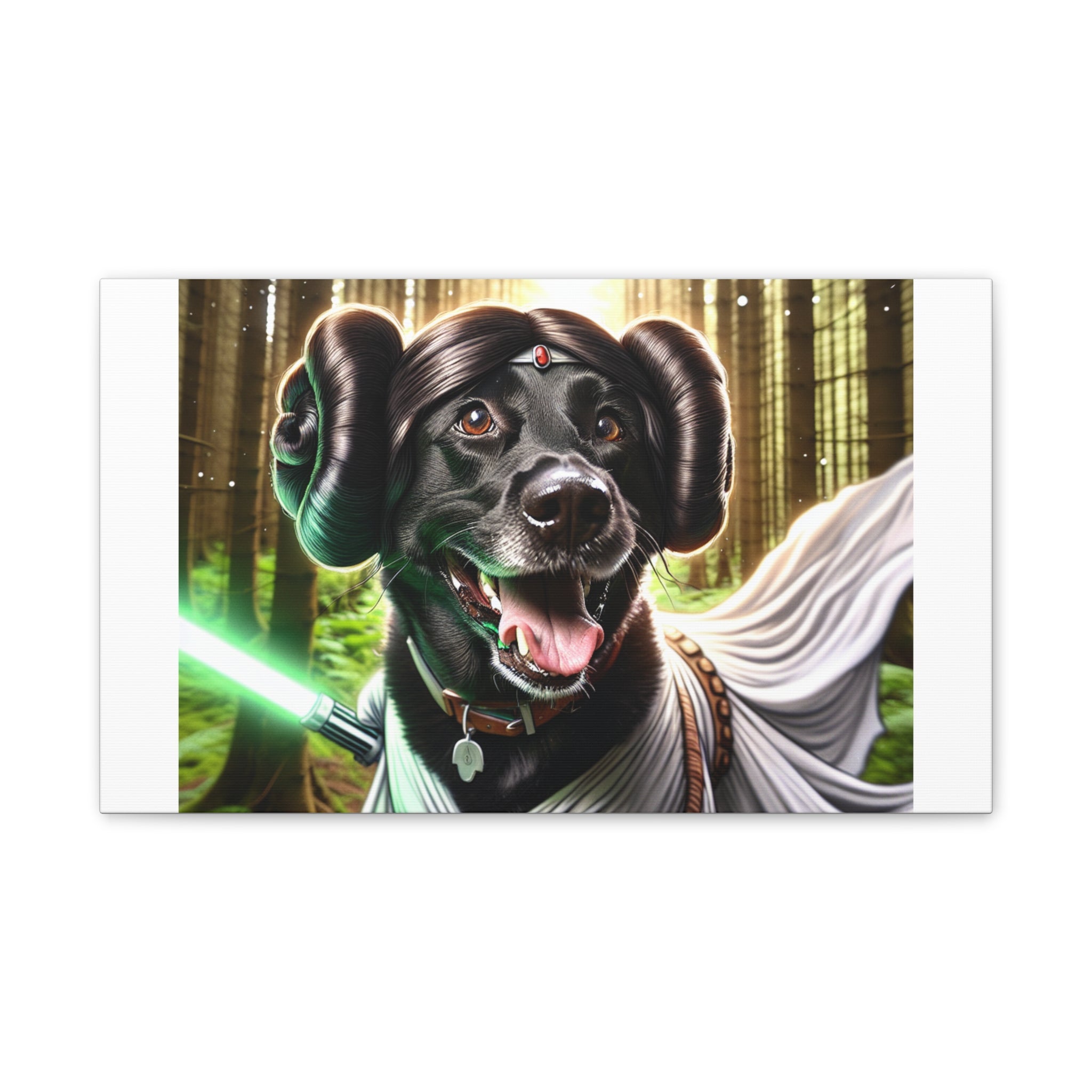 Black Lab Galaxy Princess Canvas Stretched, 0.75"