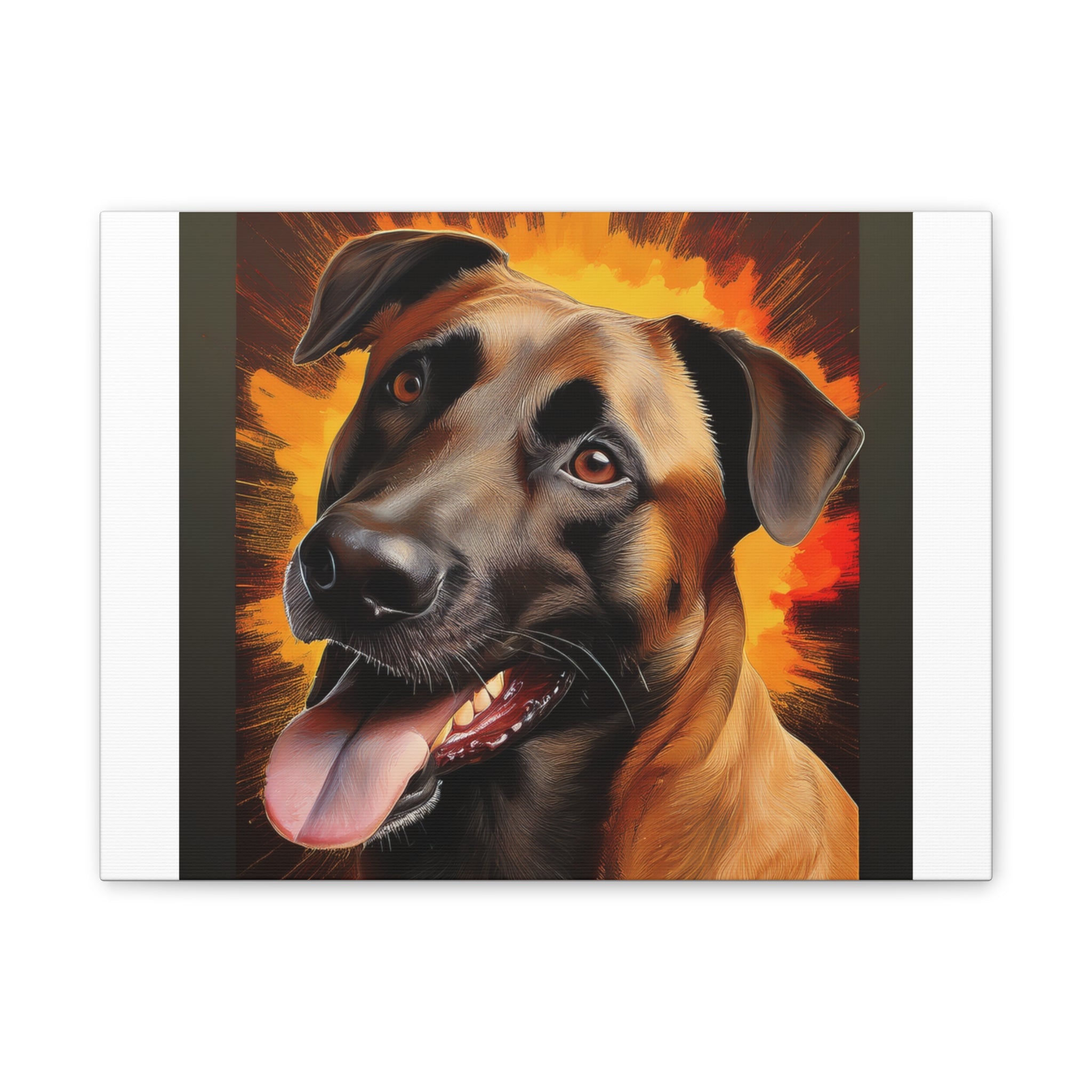 Belgian Malinois Shepherd Canvas Stretched, 0.75"