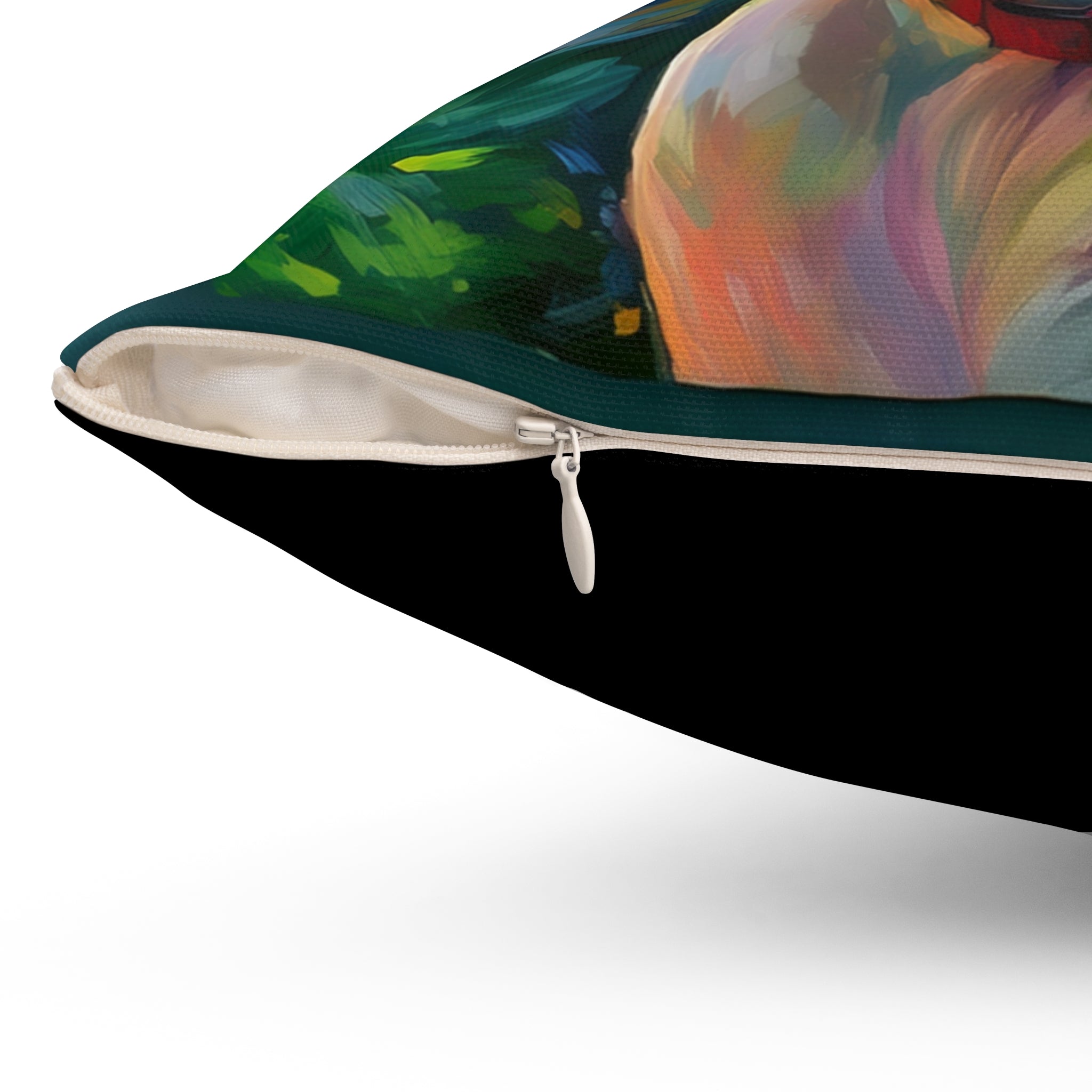 Boxer Rainbow Sky Polyester Square Pillow