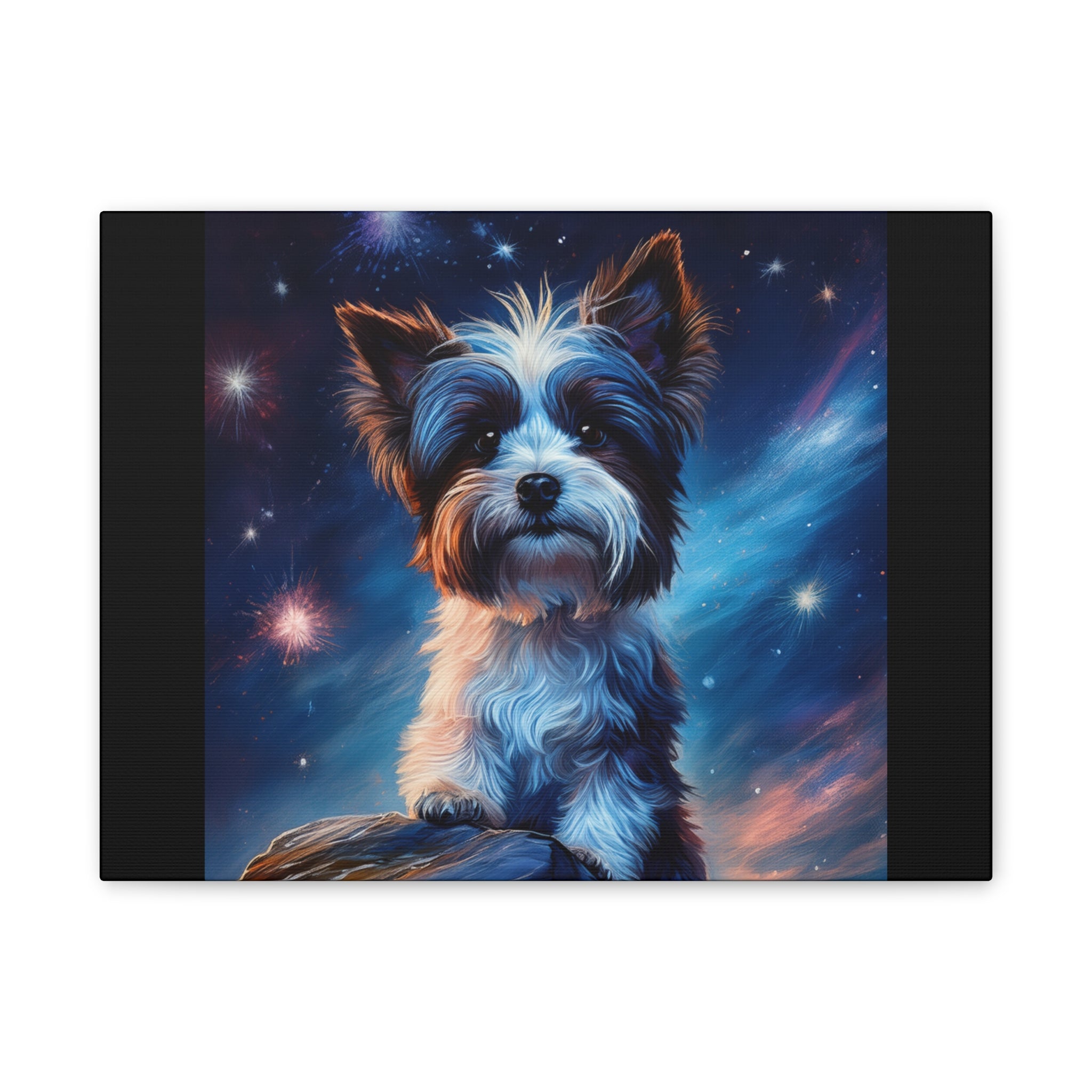 Biewer Terrier Stary Night Cavas Painting