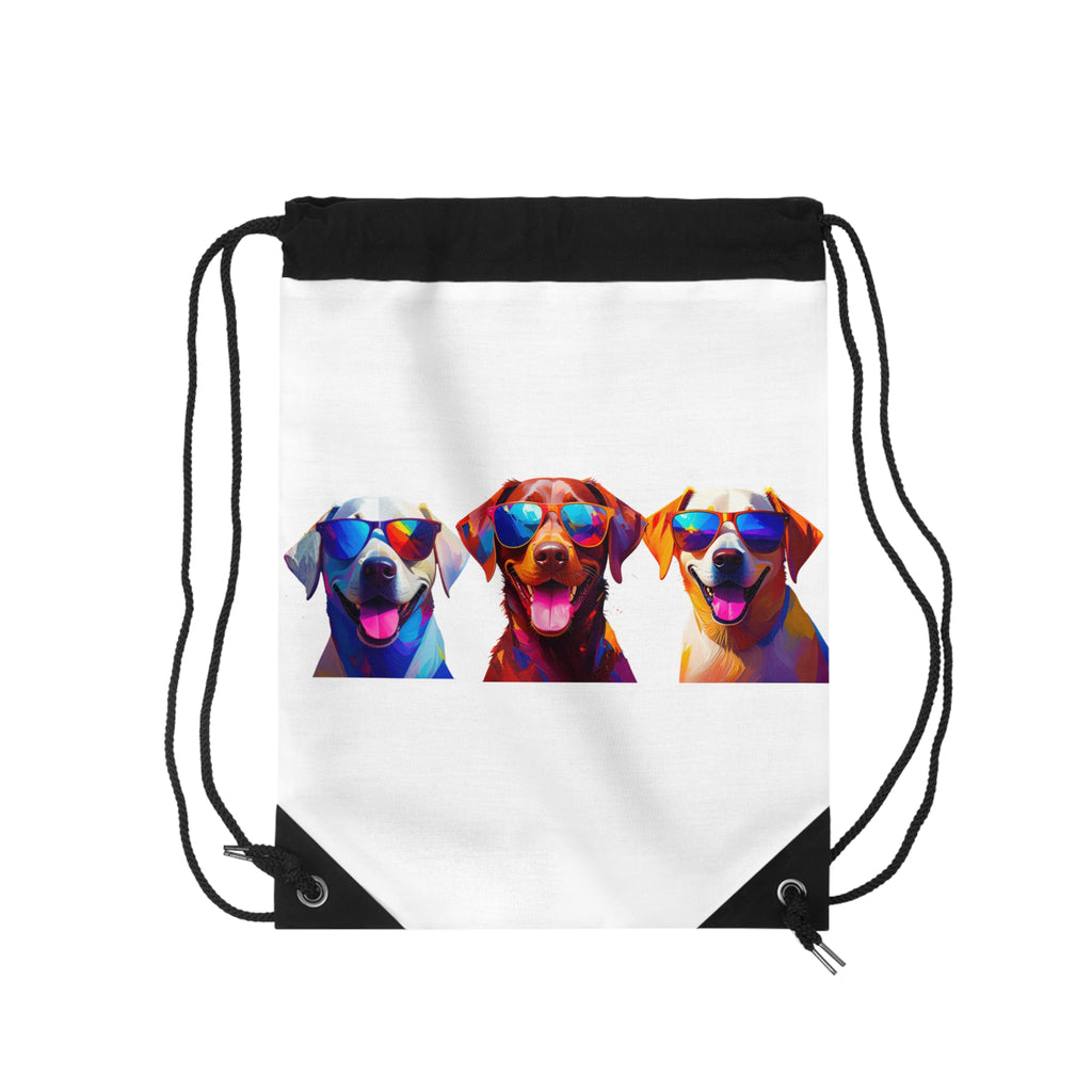 3 Labs Sunglasses Drawstring Bag