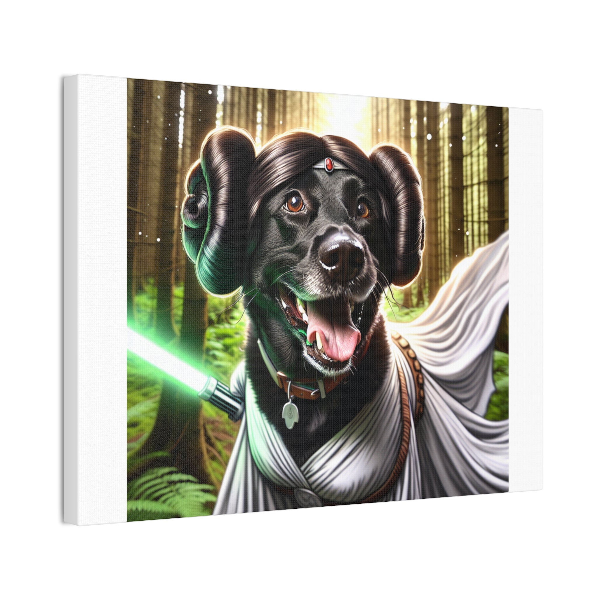 Black Lab Galaxy Princess Canvas Stretched, 0.75"