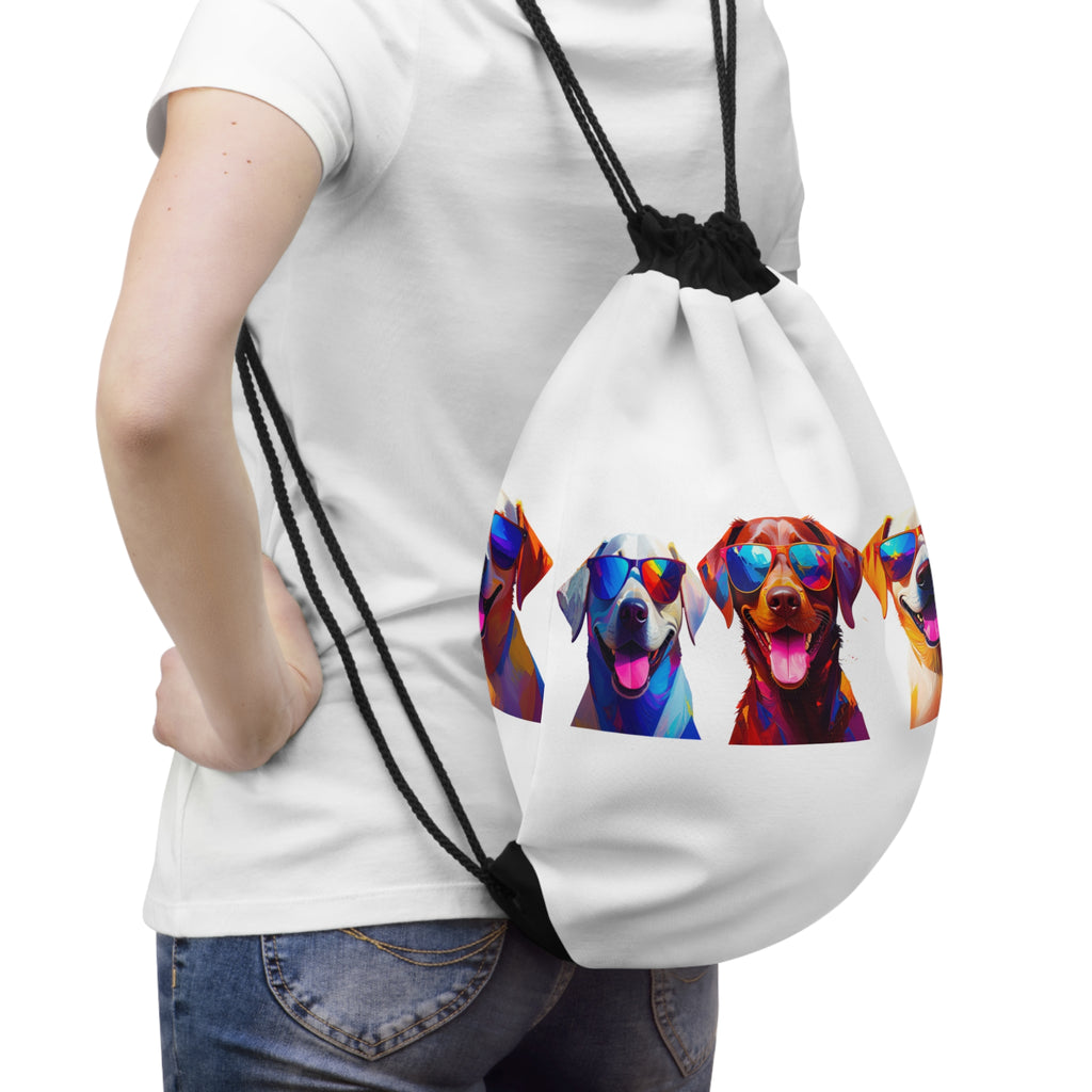 3 Labs Sunglasses Drawstring Bag