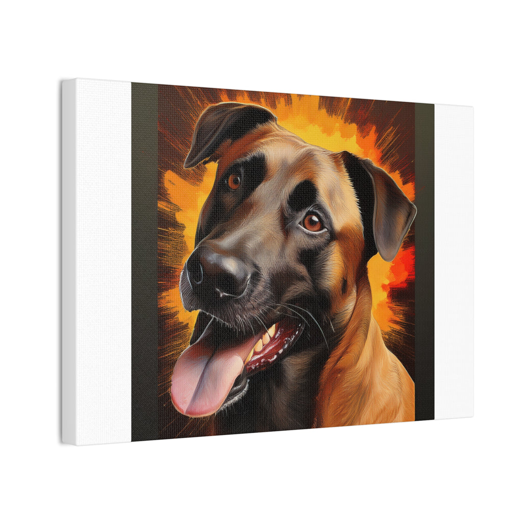 Belgian Malinois Shepherd Canvas Stretched, 0.75"