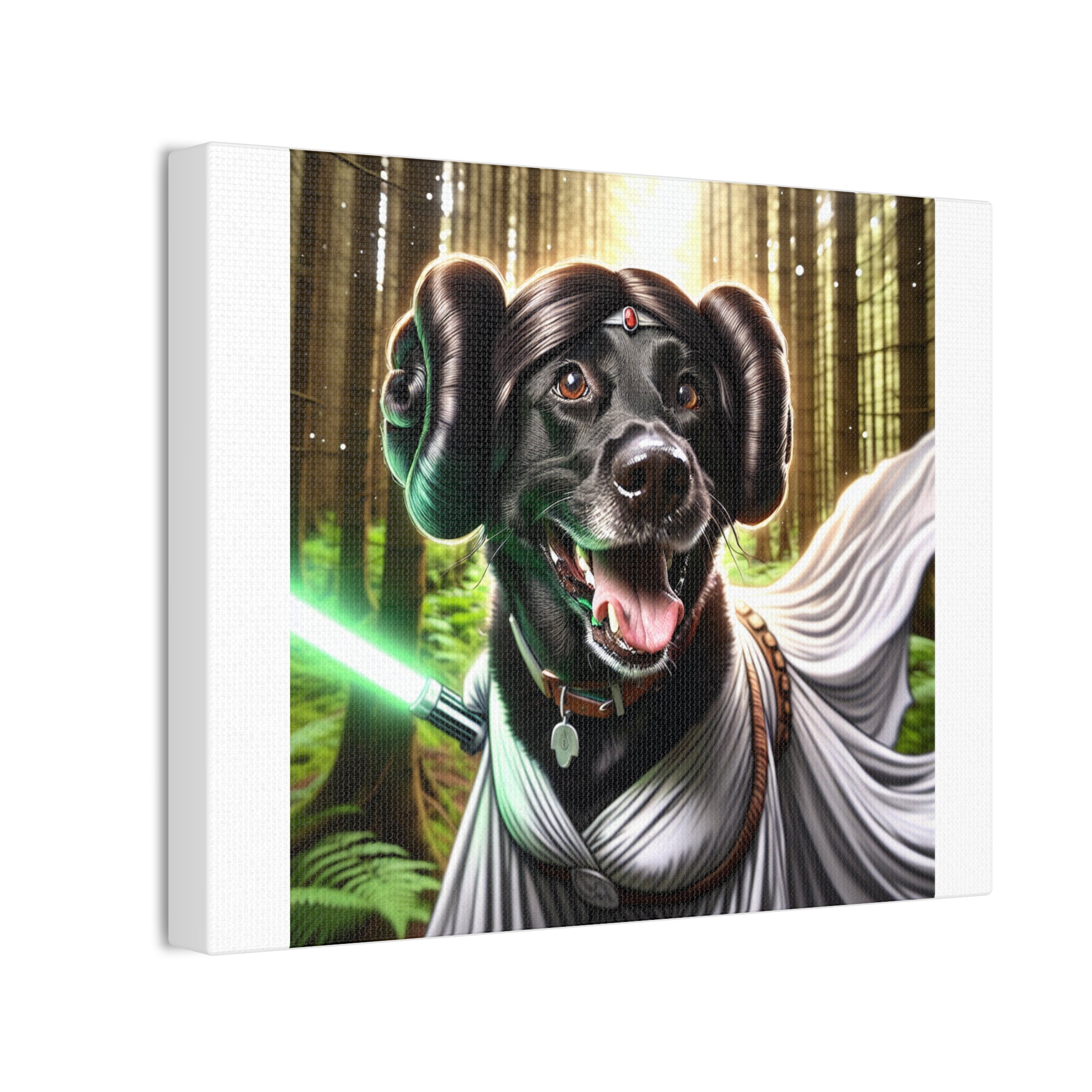 Black Lab Galaxy Princess Canvas Stretched, 0.75"