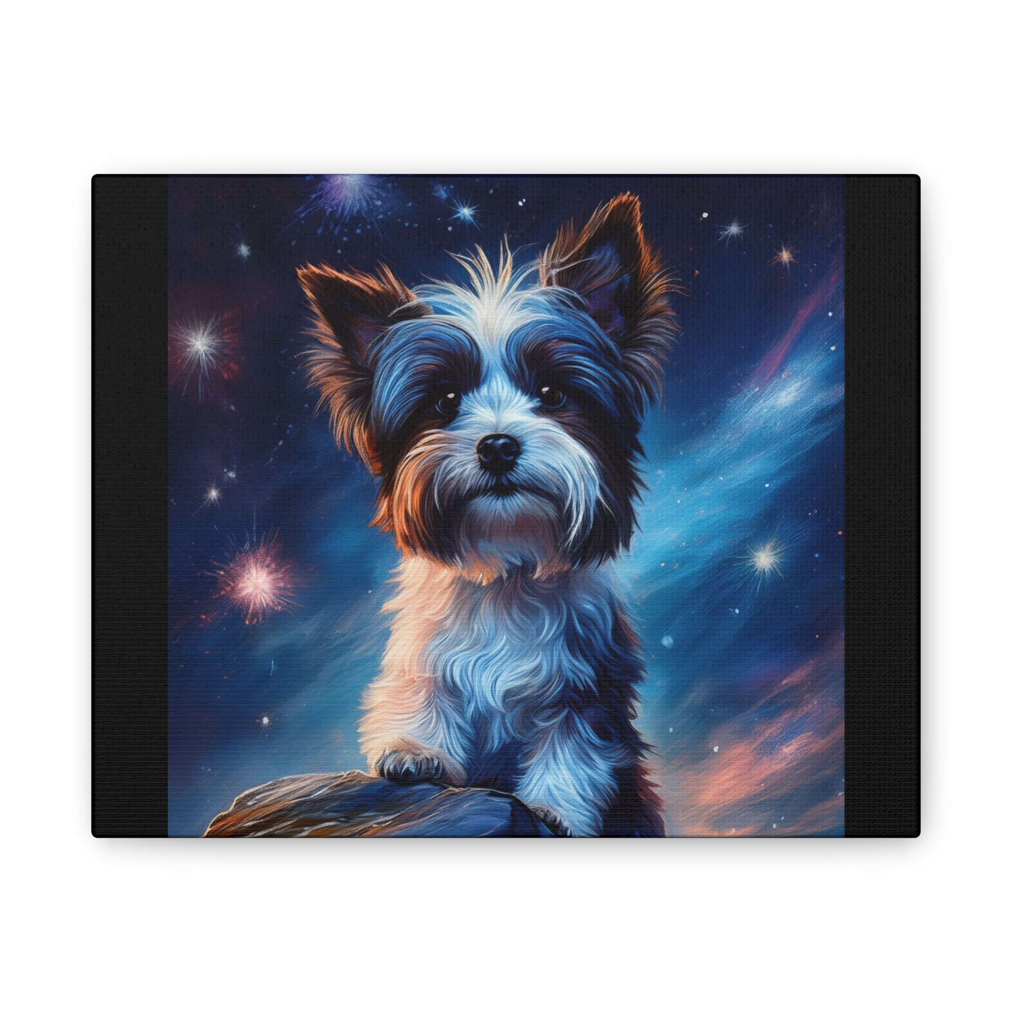 Biewer Terrier Stary Night Cavas Painting
