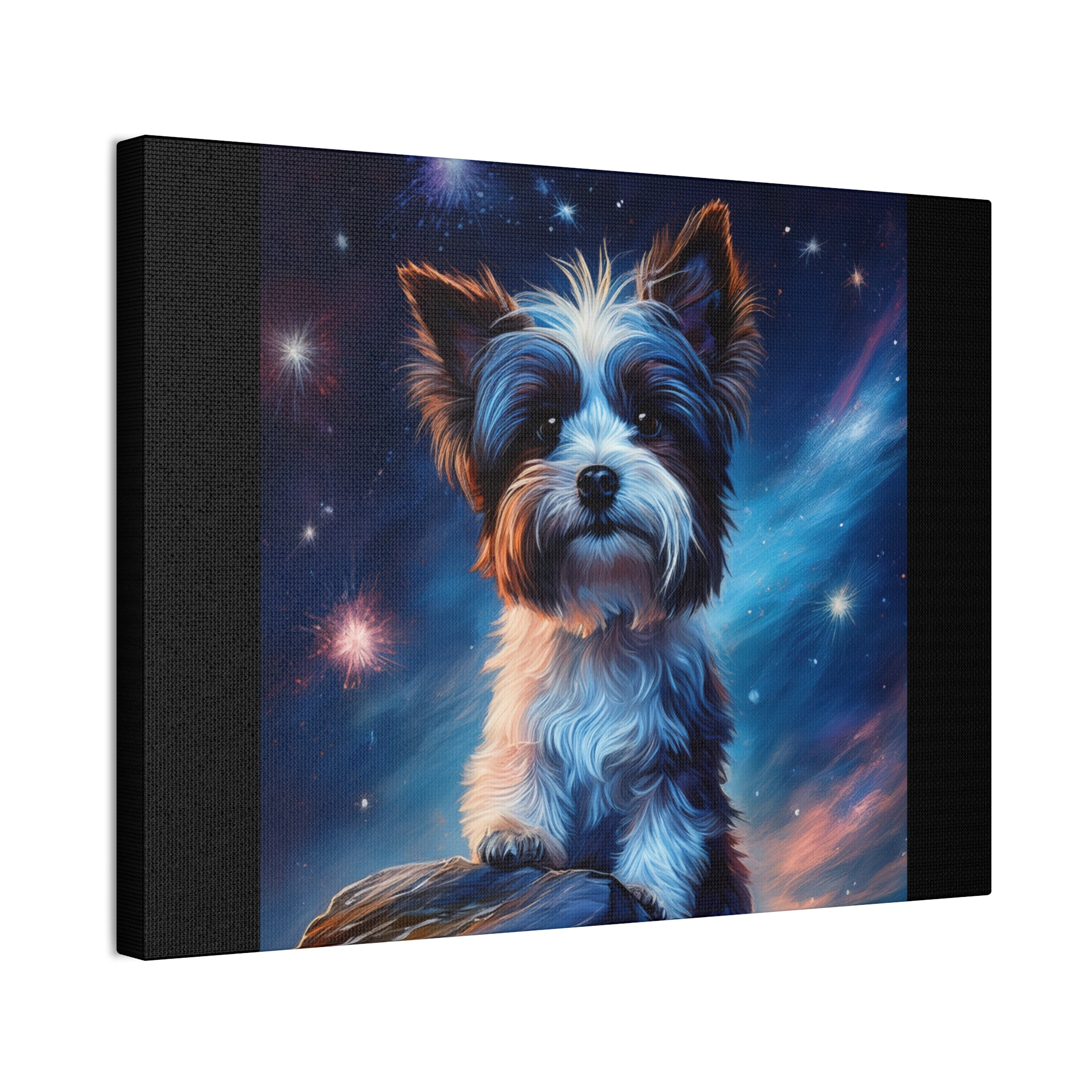 Biewer Terrier Stary Night Cavas Painting