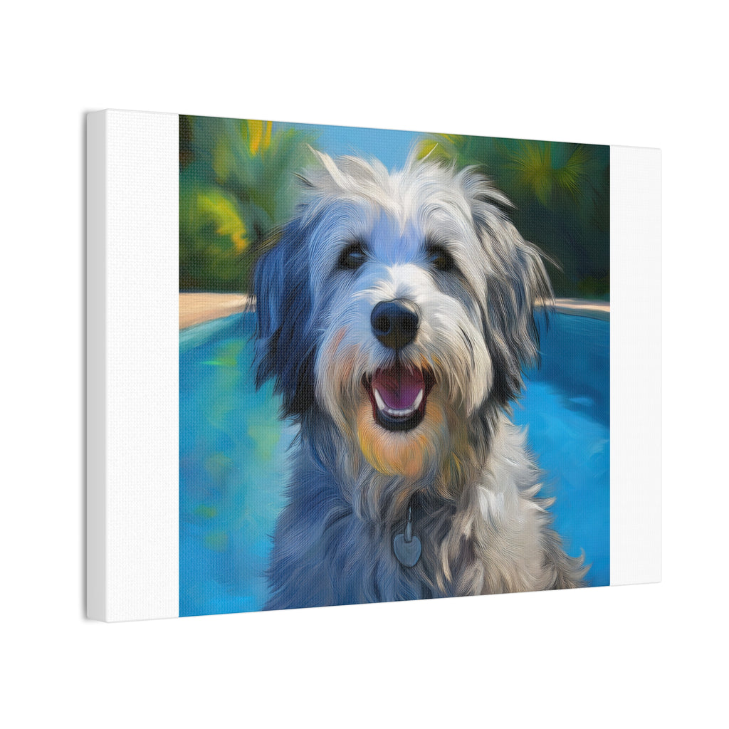 Grey Shaggy Dog Poolside Canvas Stretched, 0.75"