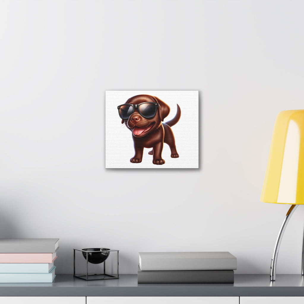 Chocolate Lab in Sunglasses Canvas Stretched, 0.75"