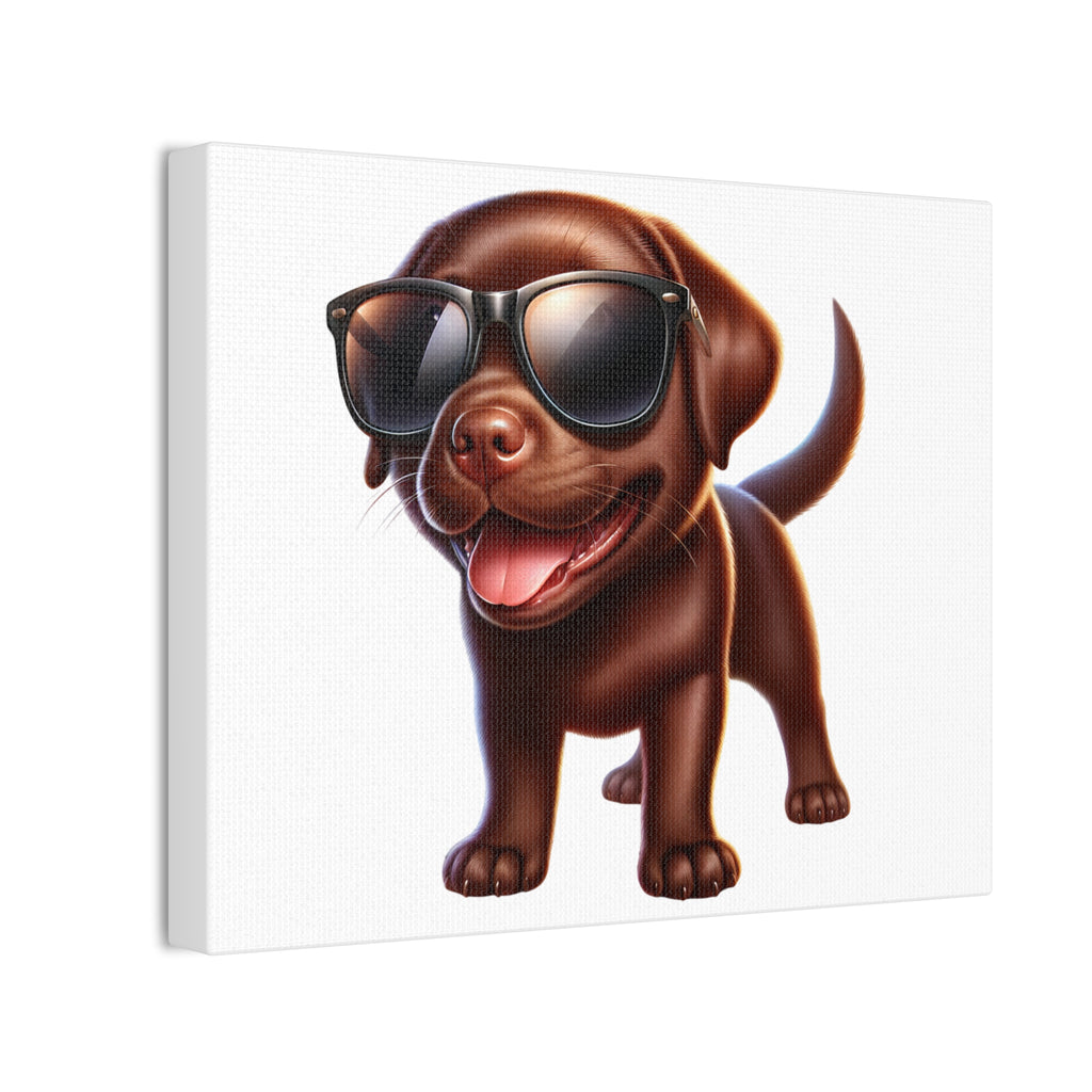 Chocolate Lab in Sunglasses Canvas Stretched, 0.75"