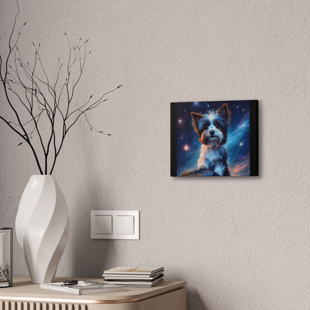 Biewer Terrier Stary Night Cavas Painting